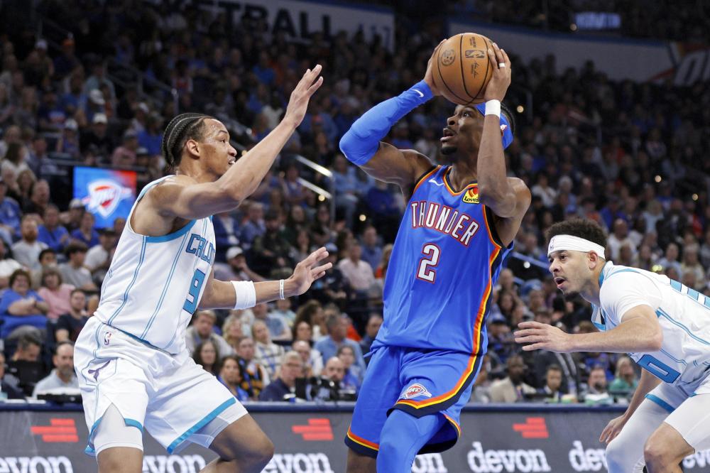 这种多样性 这种多样性