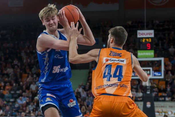 许多在往届 许多在往届